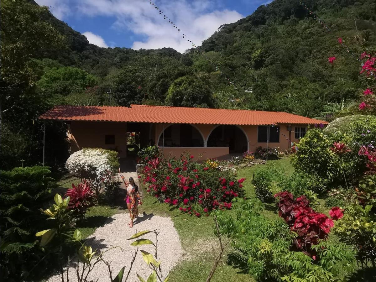 El Zumbito Apartment El Valle de Anton Ruang foto
